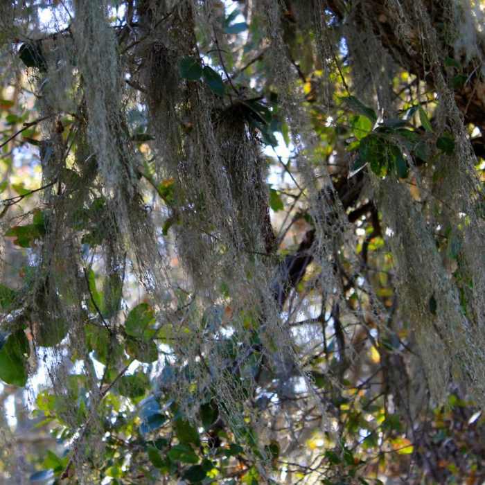 Near Deer Island Open Space Preserve