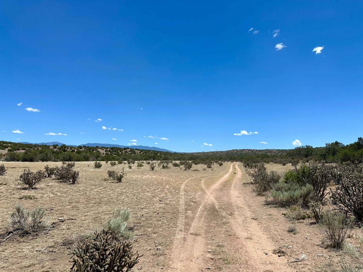 Dispersed Camping Trail photo 6