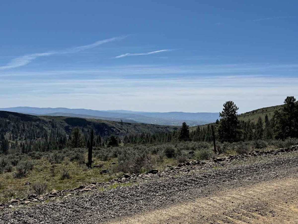 Tyee Road photo 2
