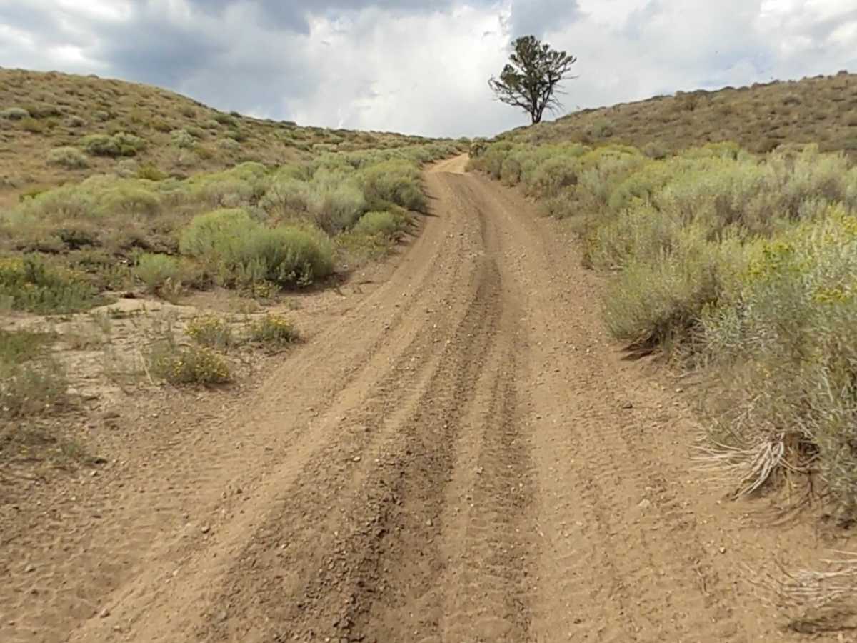 Squaw Ridge Road trail photo