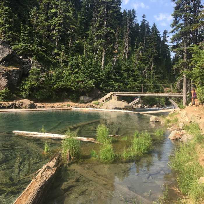 Near Garibaldi Lake Loop Via Taylor Meadows