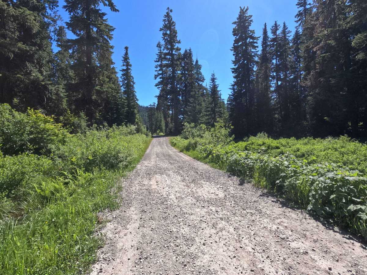 Cooper Road - FS 46 photo 6