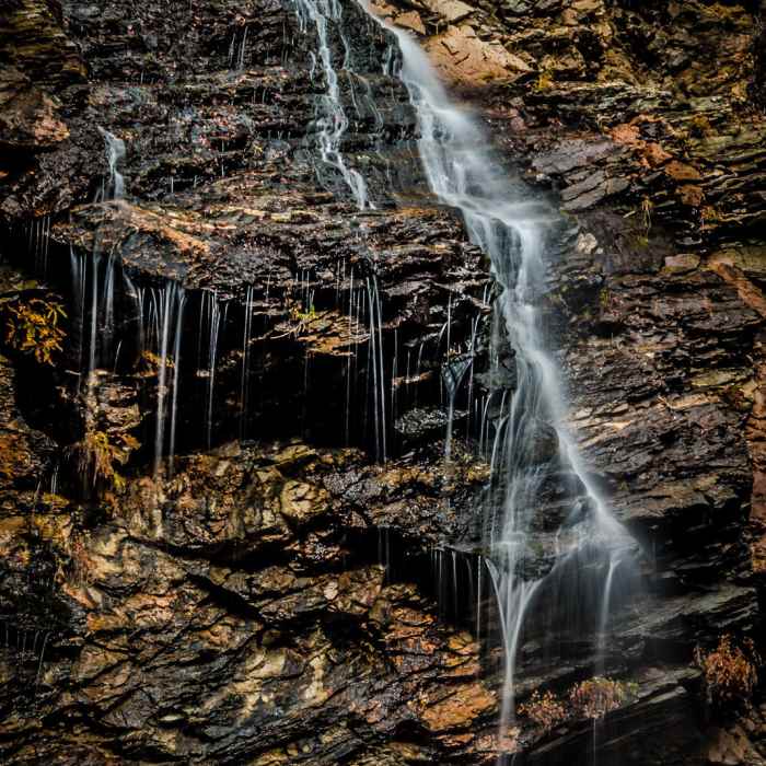 Near Vivian Creek Trail