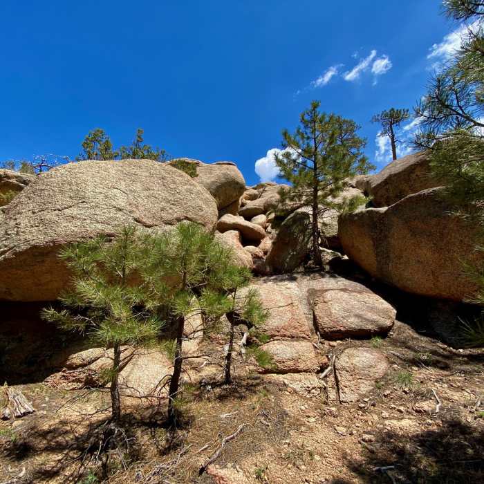 Near West Potato Patch Loop