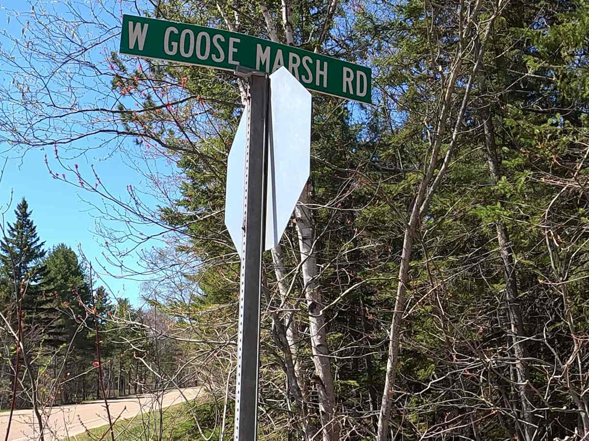 W Goose Marsh Road trail photo