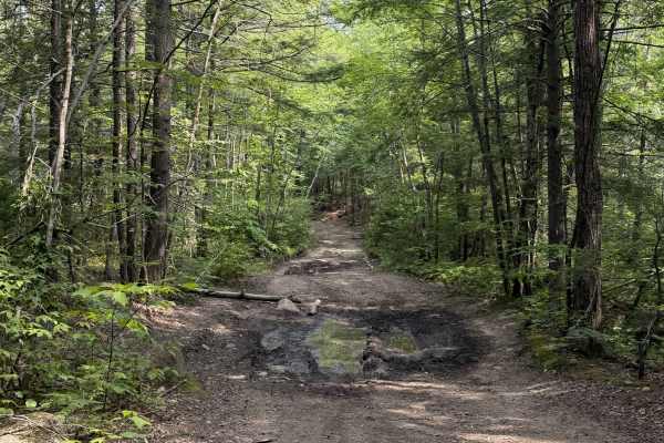 Cunningham Pond Road