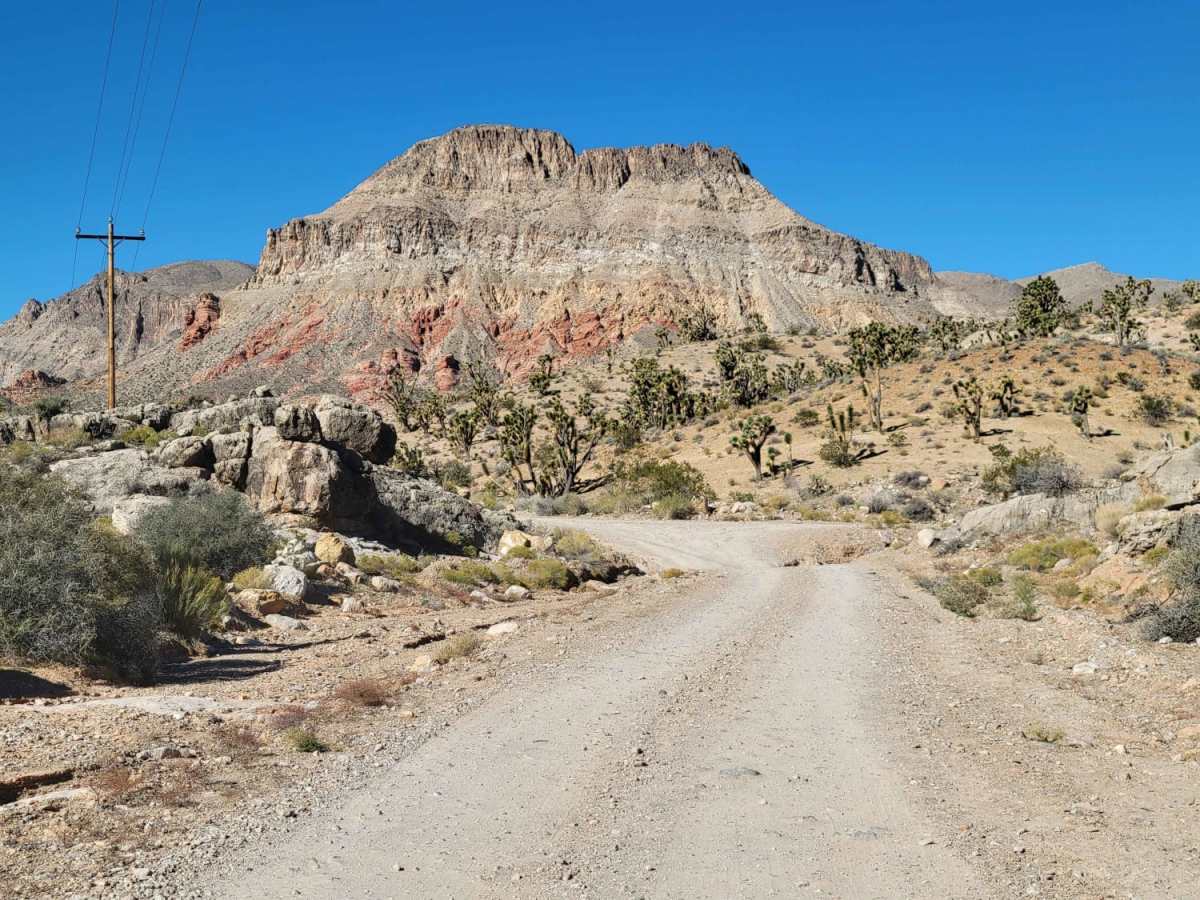 Cedar Pocket Road trail photo