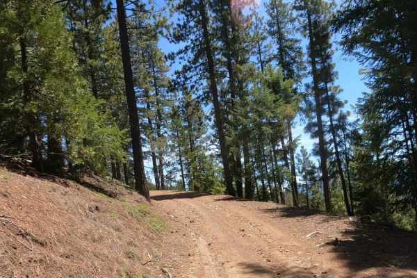Bonta Ridge - NF23N05Y