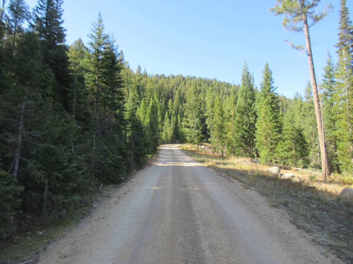 Standard Creek Rd w/Wolverine Basin photo 5