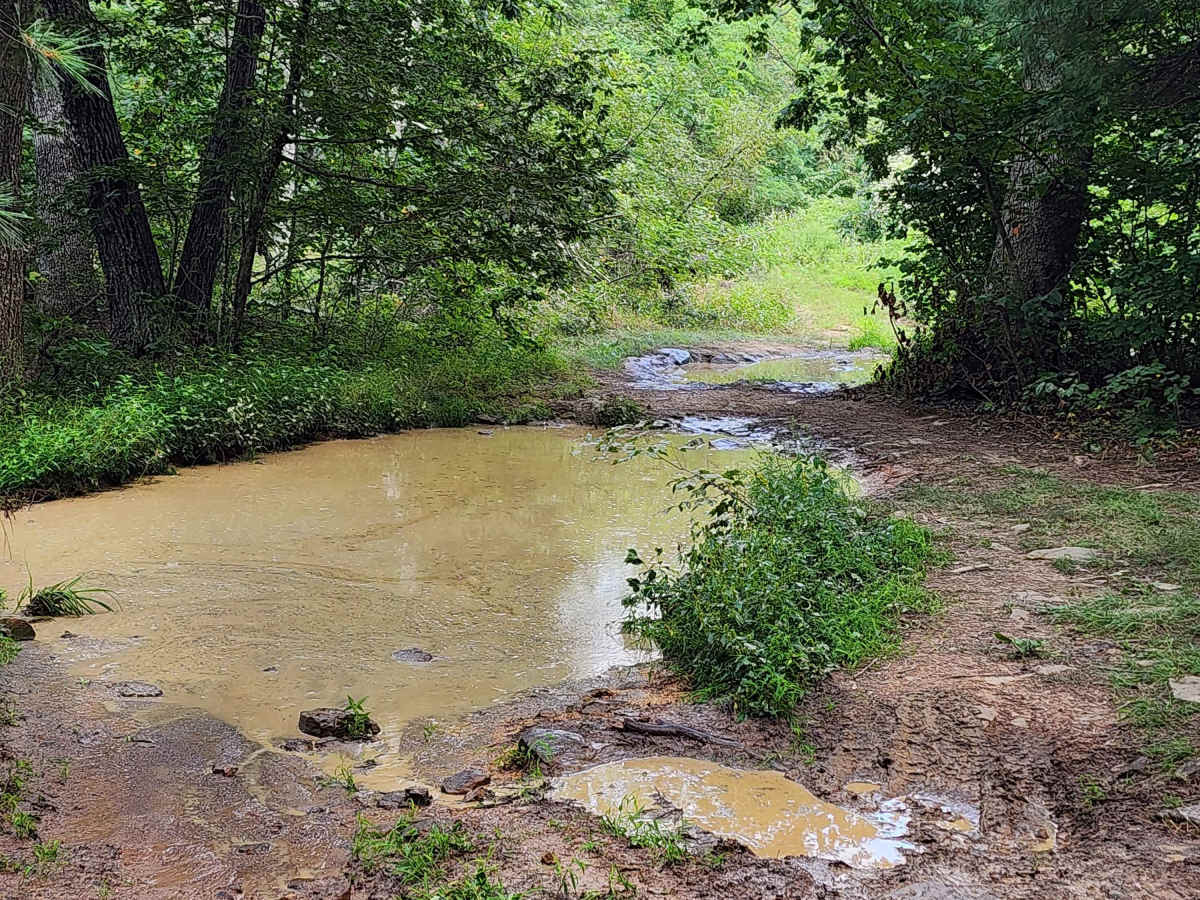 Rocky Run trail photo