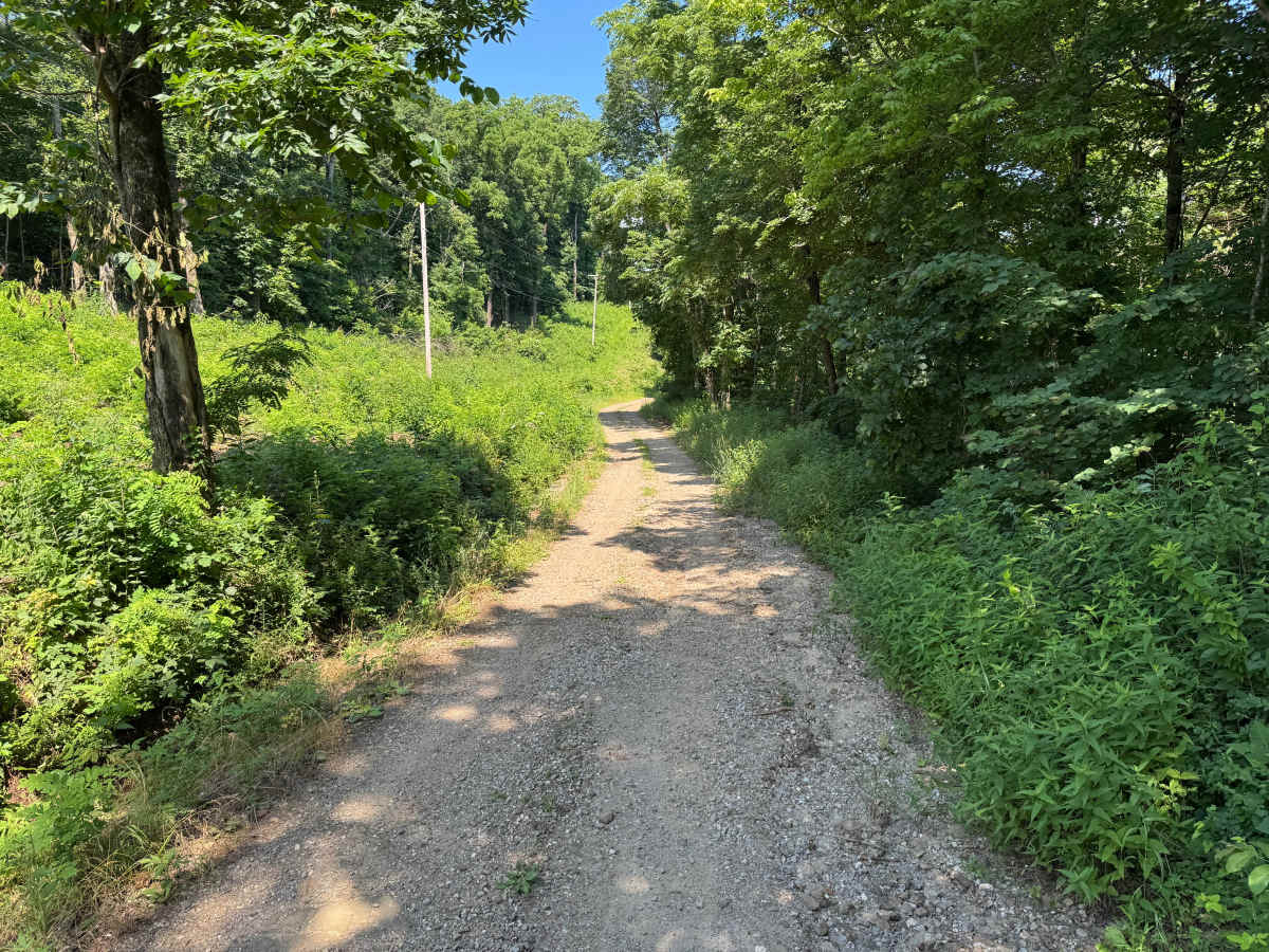 County Road 419 trail photo