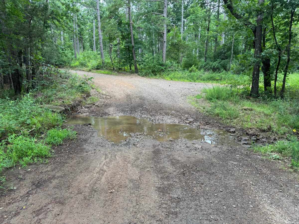 Low Bridge Road photo 4
