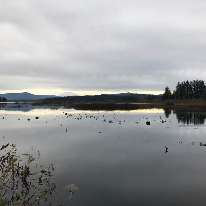 Near Silver Lake Wetland Haven Trail