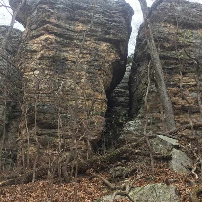 Near Indian Point Loop Trail