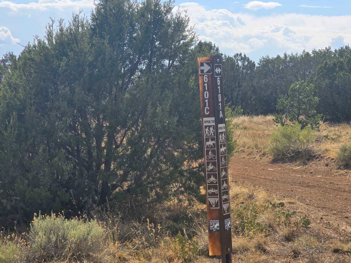 BLM 6101A photo 3