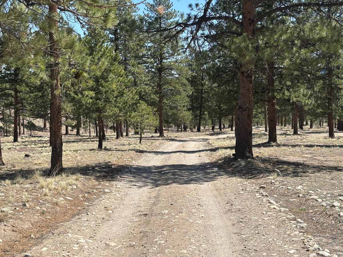 Raspberry Gulch trail photo