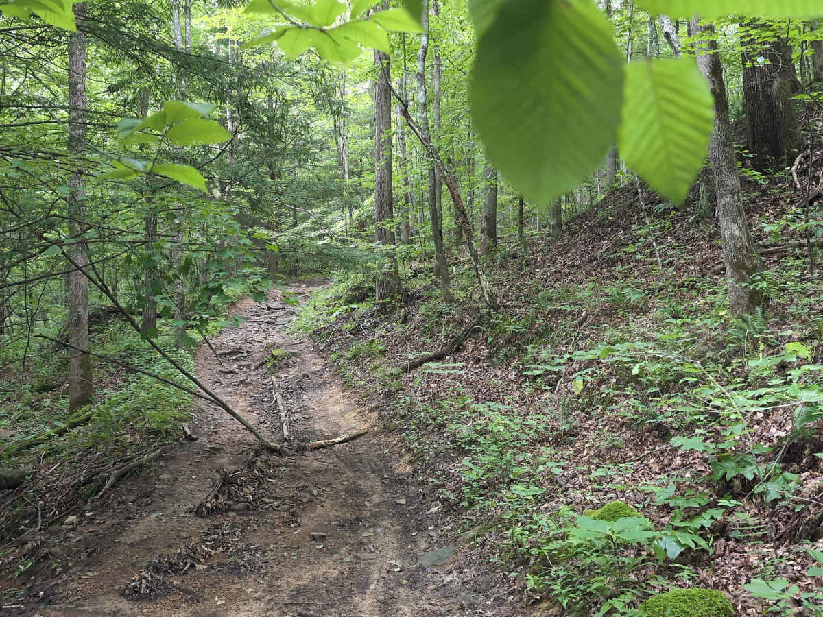 Sheltowee Trace West photo 2
