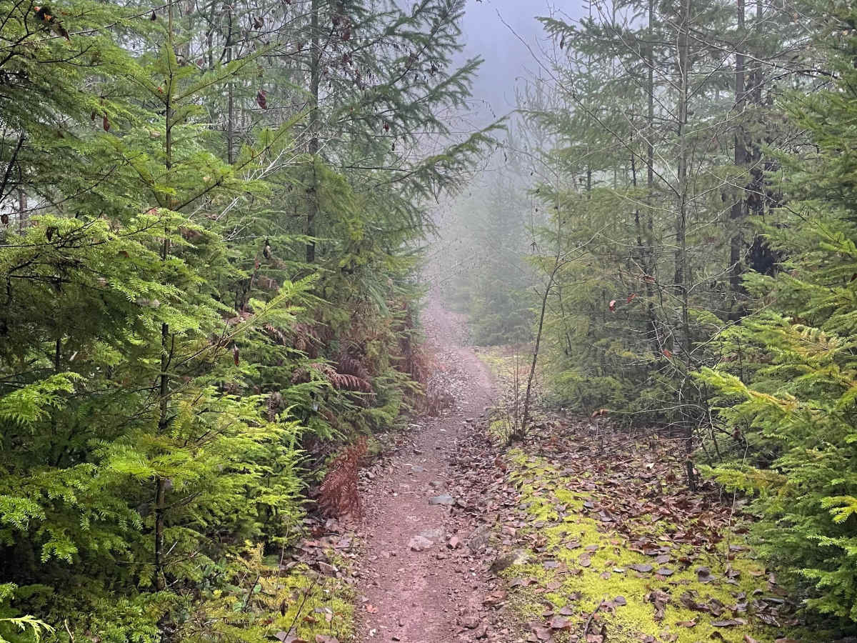 Cul de Suck trail photo