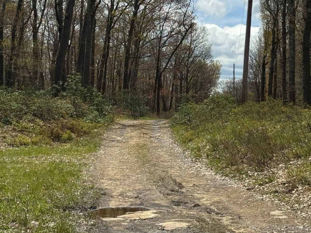 Old Dam Road photo 6