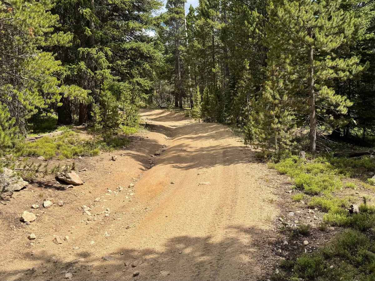 Forest Service Road 318.A photo 3