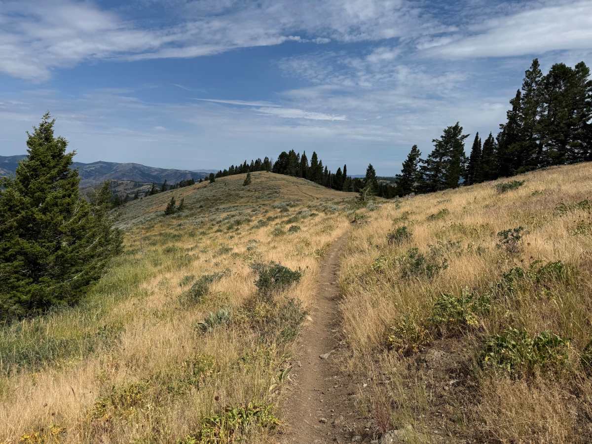 Dead Horse Ridge photo 3