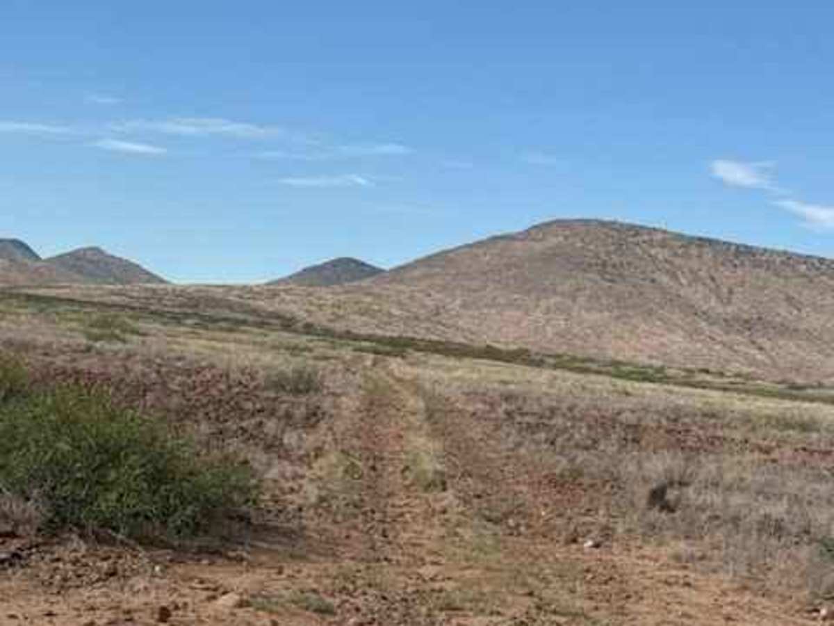 BLM SS1039 photo 6