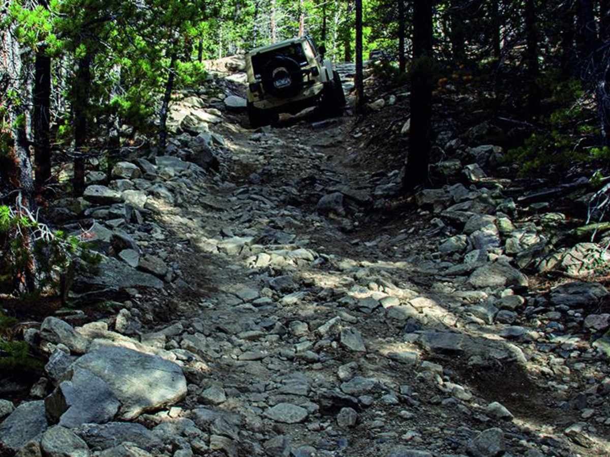 Pickle Gulch trail photo