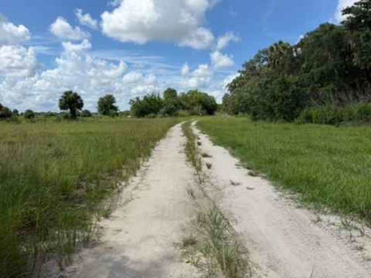 Road 7 trail photo