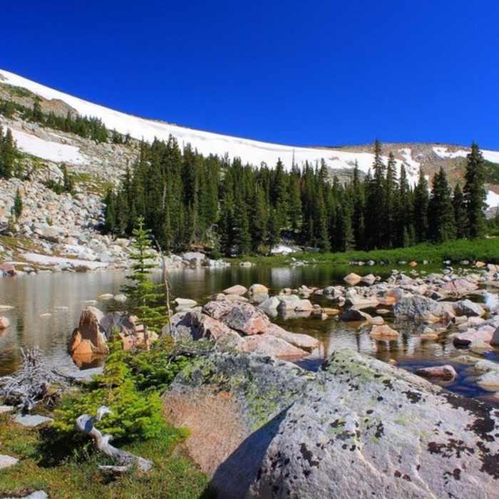 Near Lost Lake Trail #395