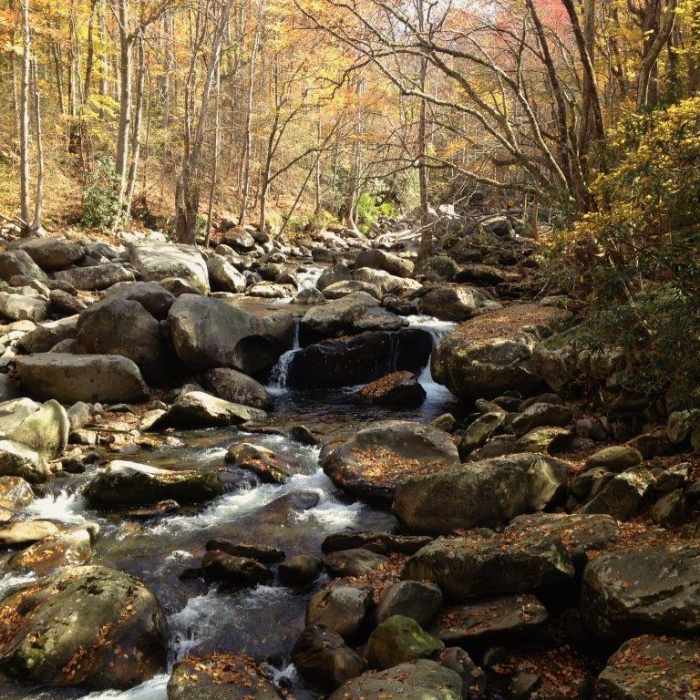Near Big Creek Trail to Mouse Creek Falls Near Big Creek Trail to Mouse Creek Falls