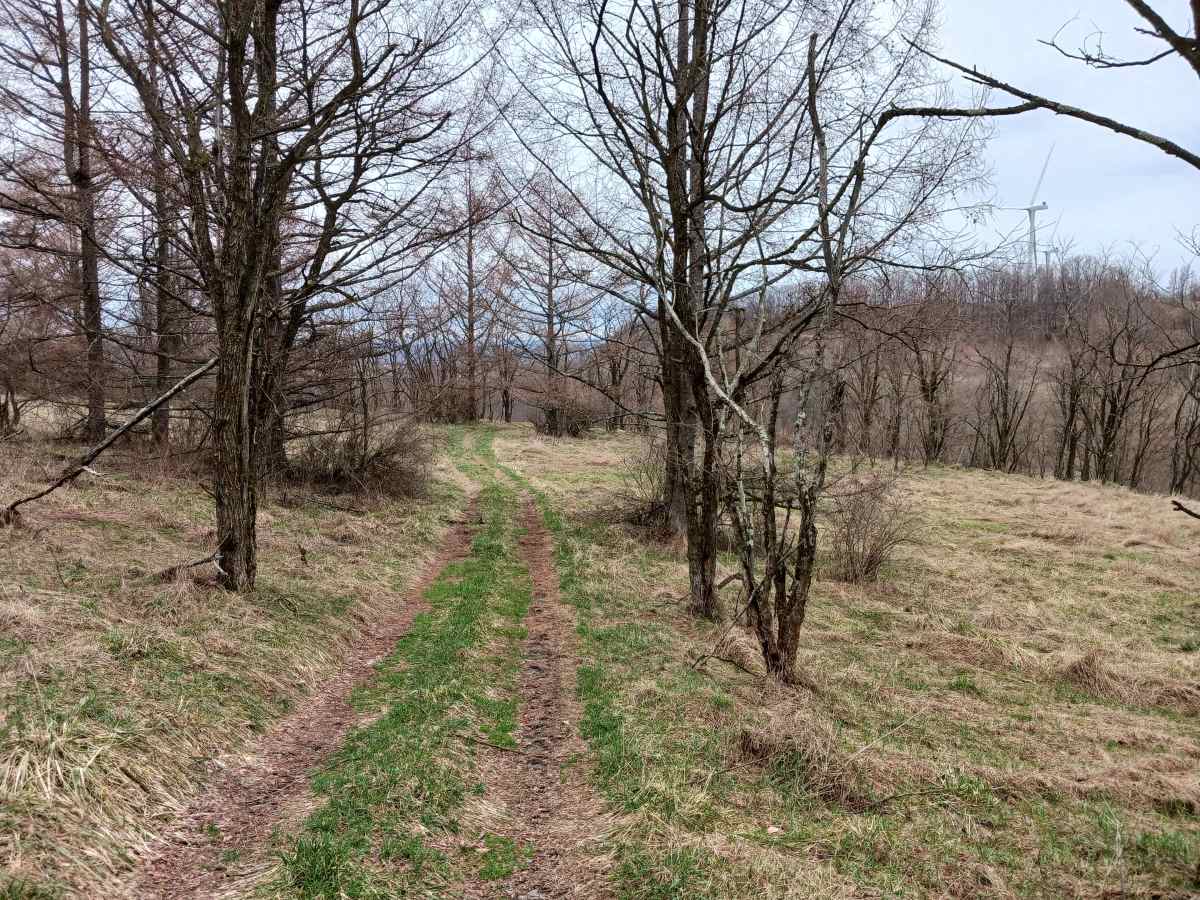 Trail 4K - Rock Run Recreation Area trail photo
