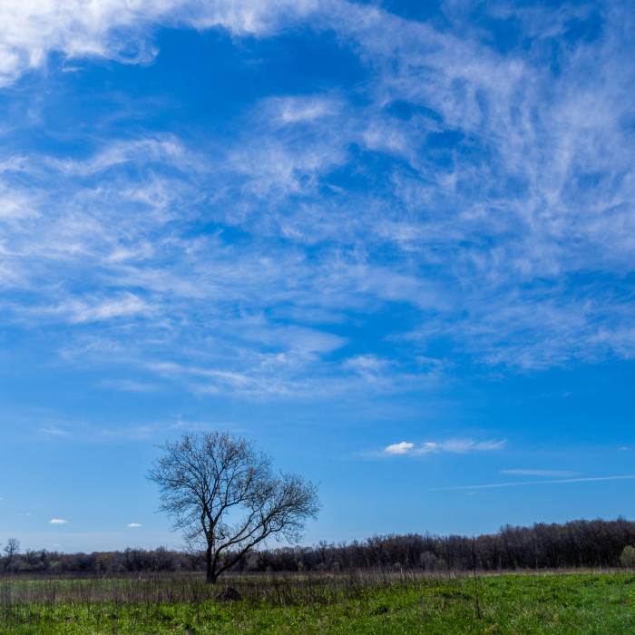 Louisville Swamp Unit. Near Louisville Swamp Loop