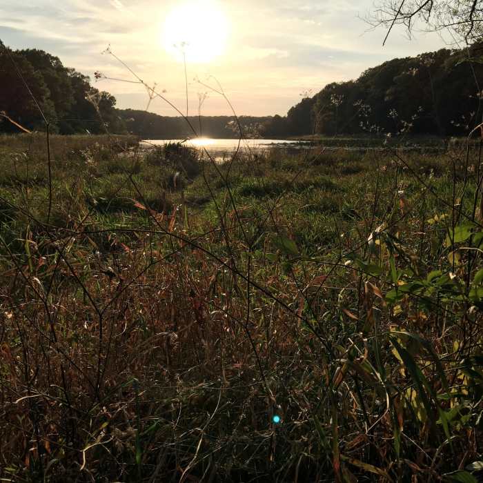 Tomahawk Slough off of the Orange Trail. Near Palos West Side Tour