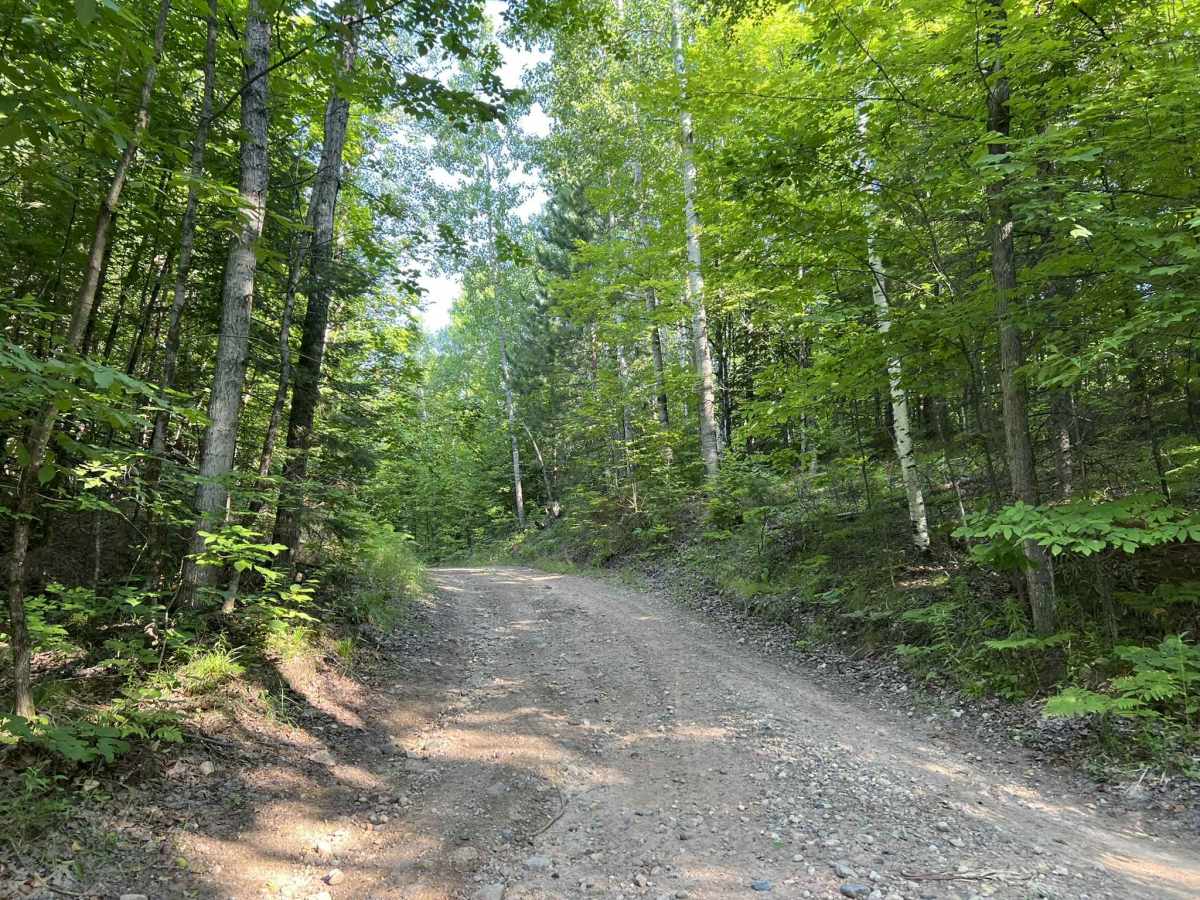 Carney Lake Road photo 5
