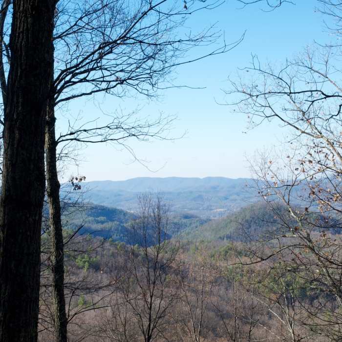 Looking out over the valley. Near Lumber Ridge Trail