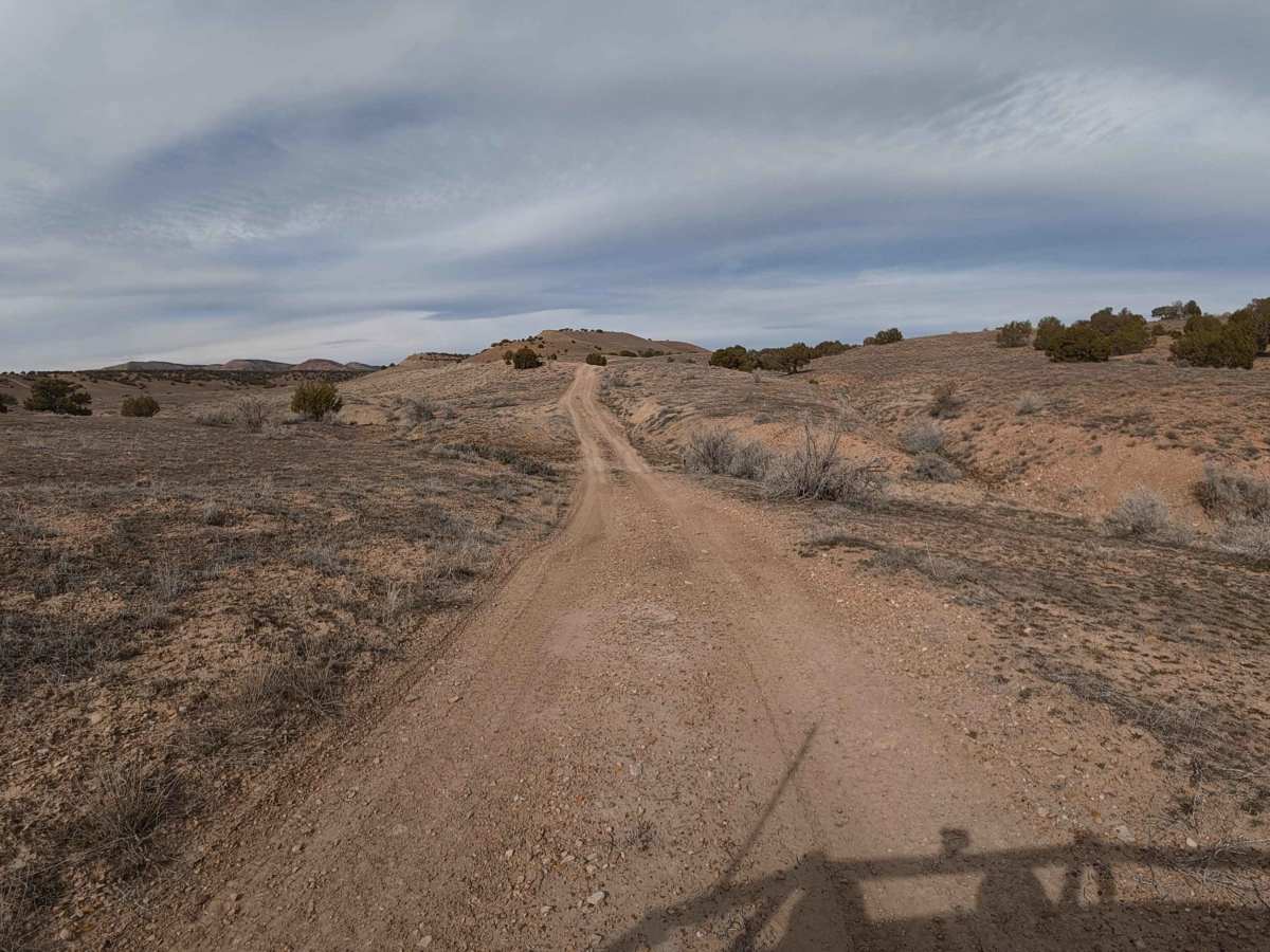 BLM 130 photo 5