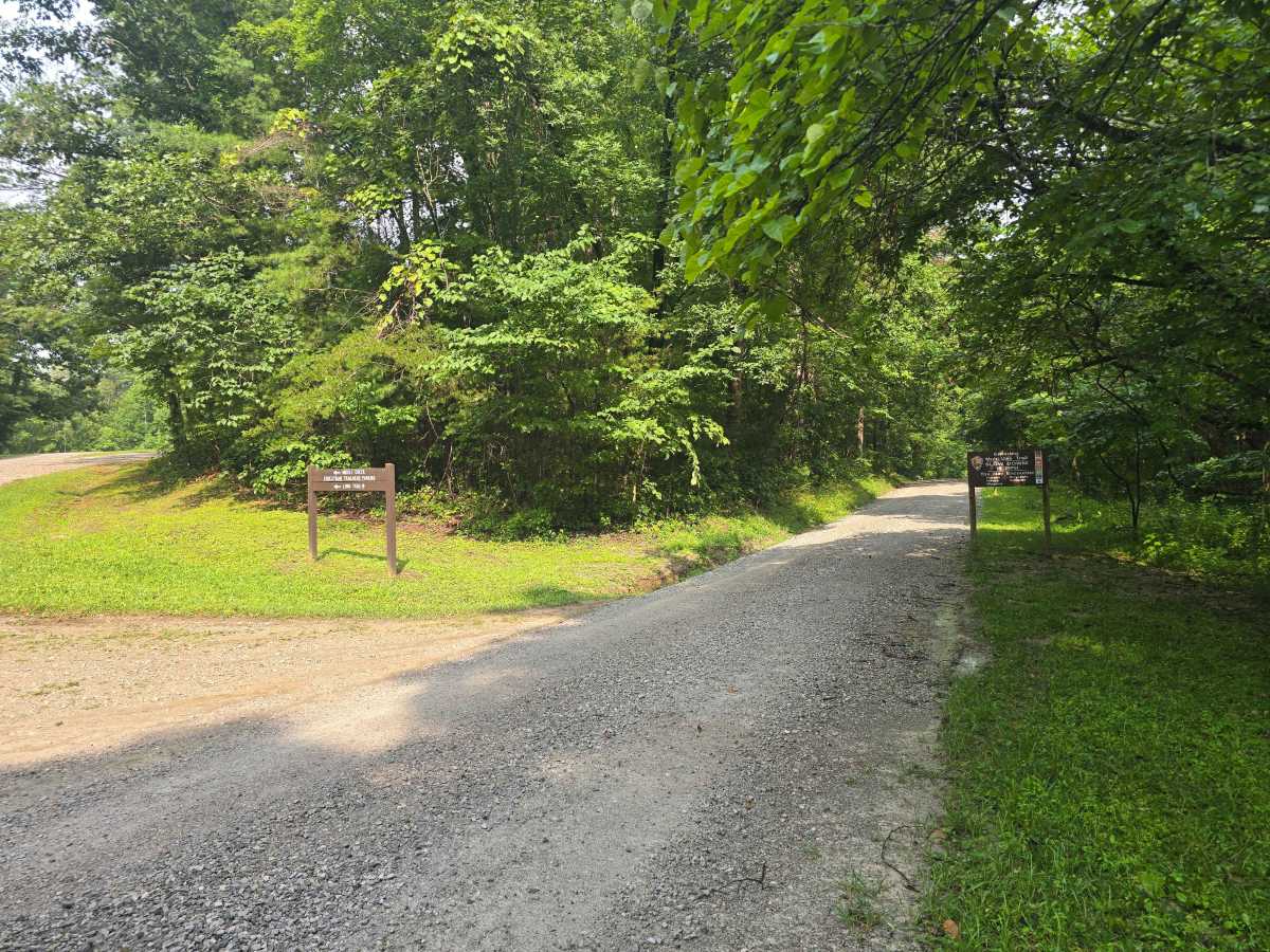Fork Ridge Road photo 2