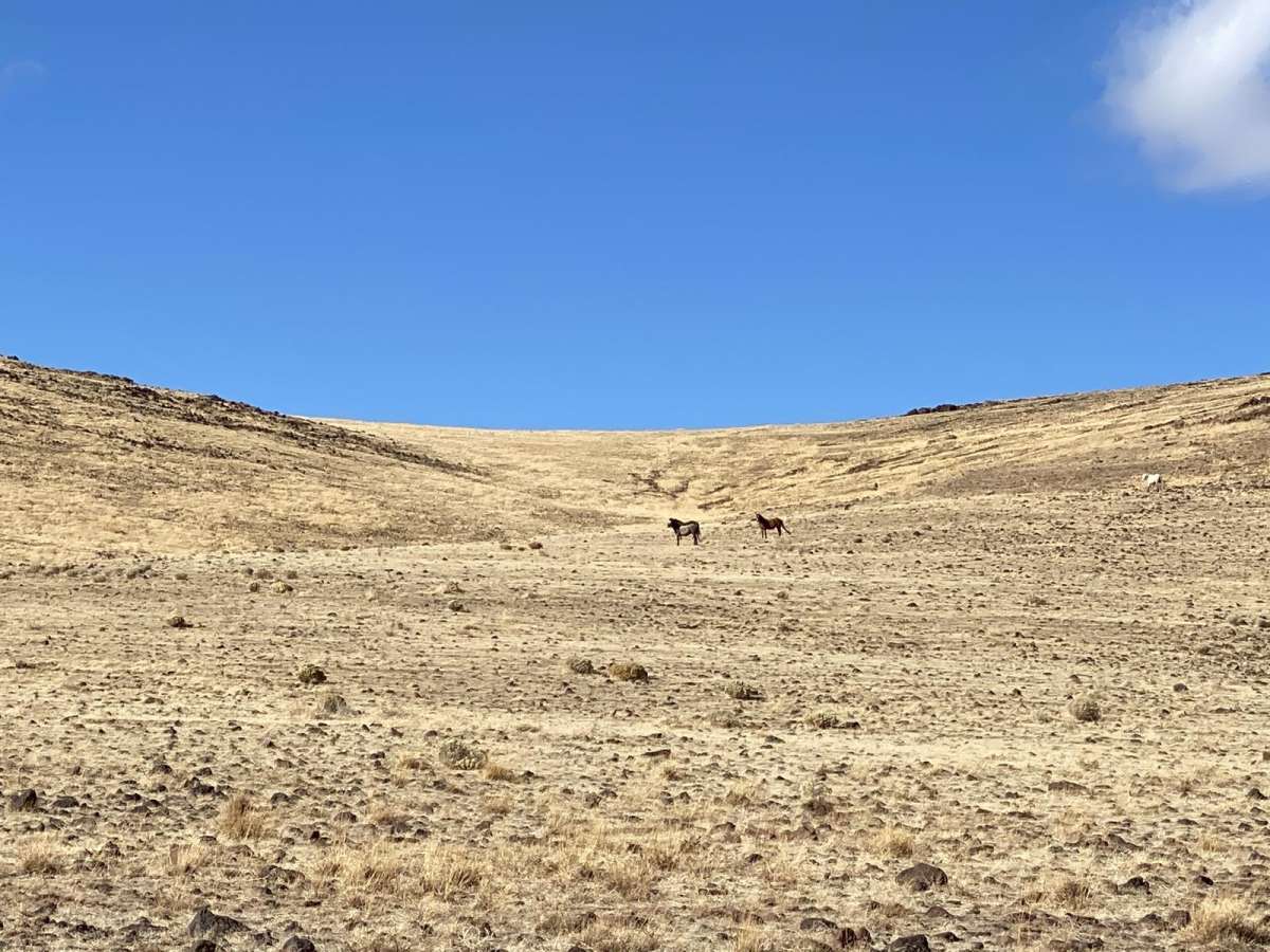 Dry Lakes Loop photo 5