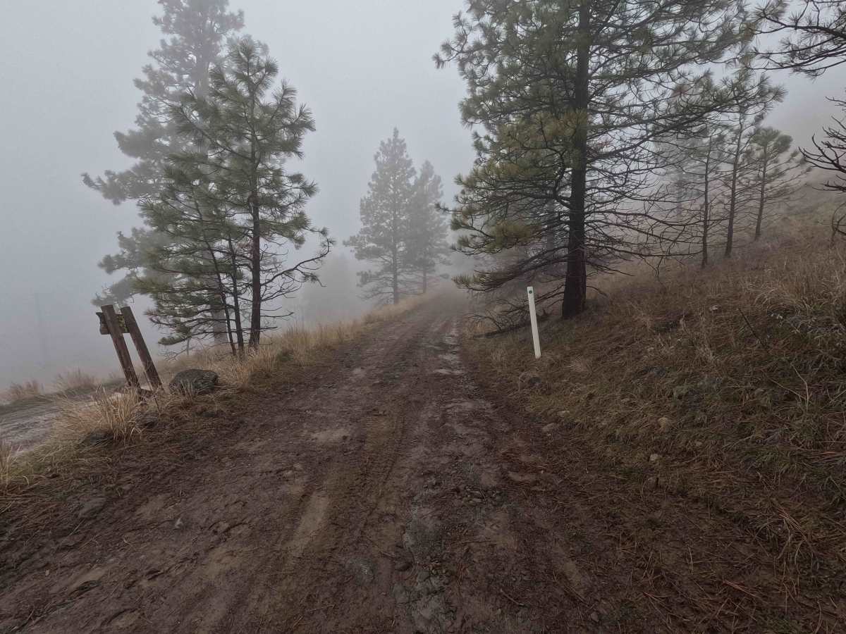 Tarpiscan Road Spur trail photo