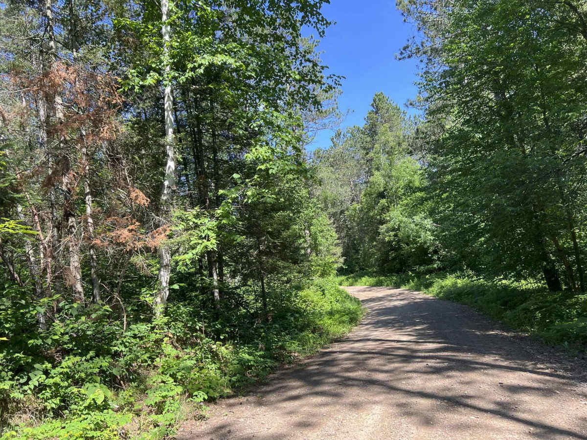 Browns Road - FS 2132 photo 6