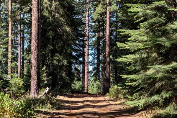 White Deer Lake West - FS 41N40