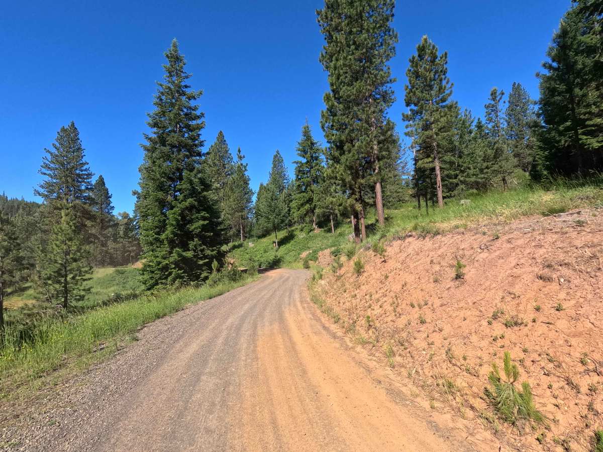 Jack Creek Road - FS 9738 photo 4