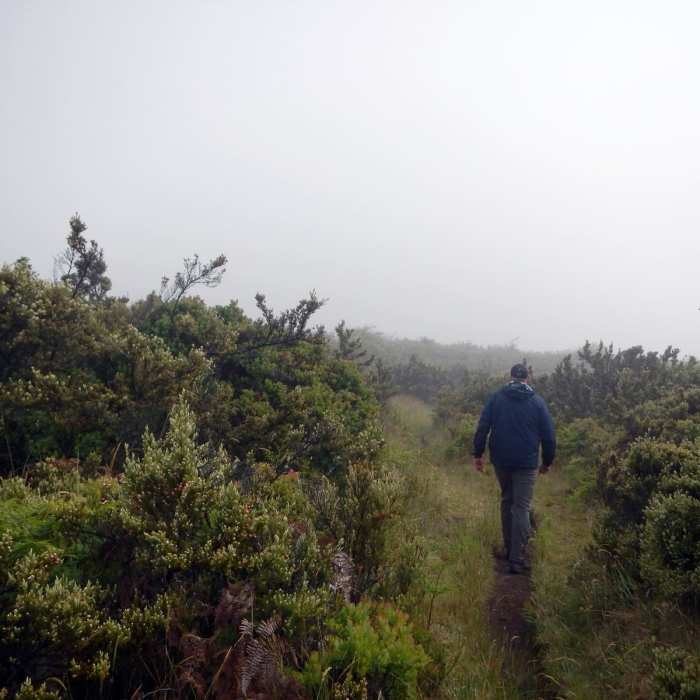 Near Hosmer Grove Near Hosmer Grove