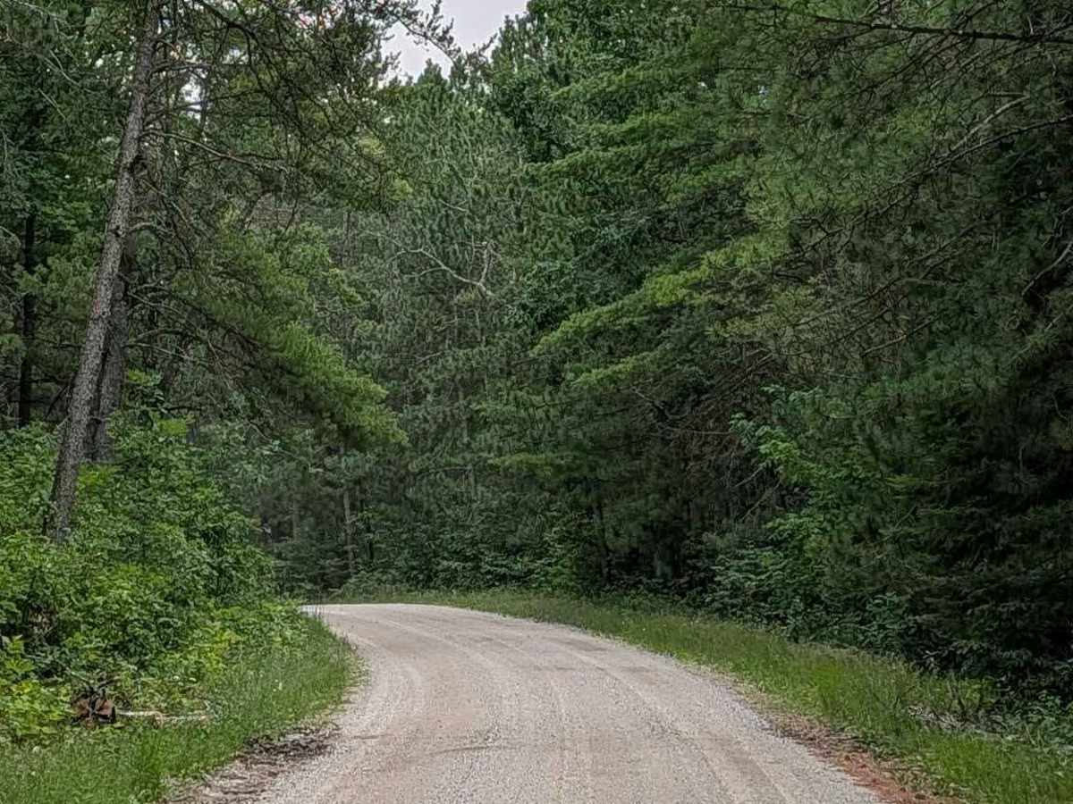 Bisonette Road photo 4