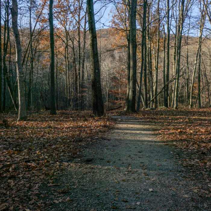 Near Turkey Mountain