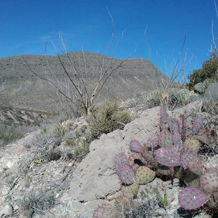 Near Northern Pass