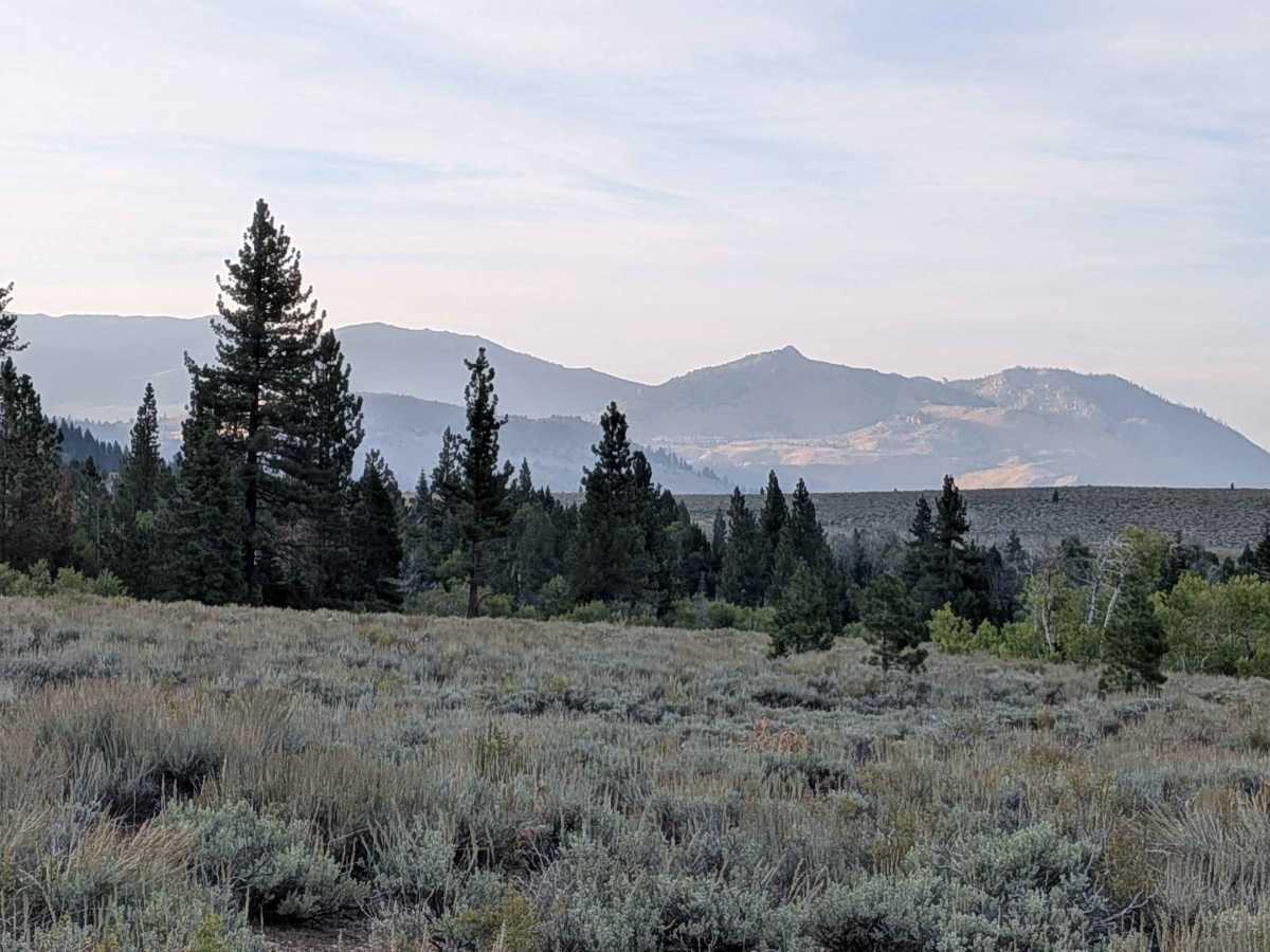 Cow Camp Creek Road photo 5