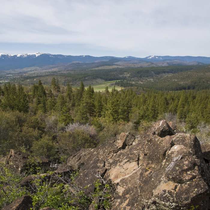 Near Lava Flow