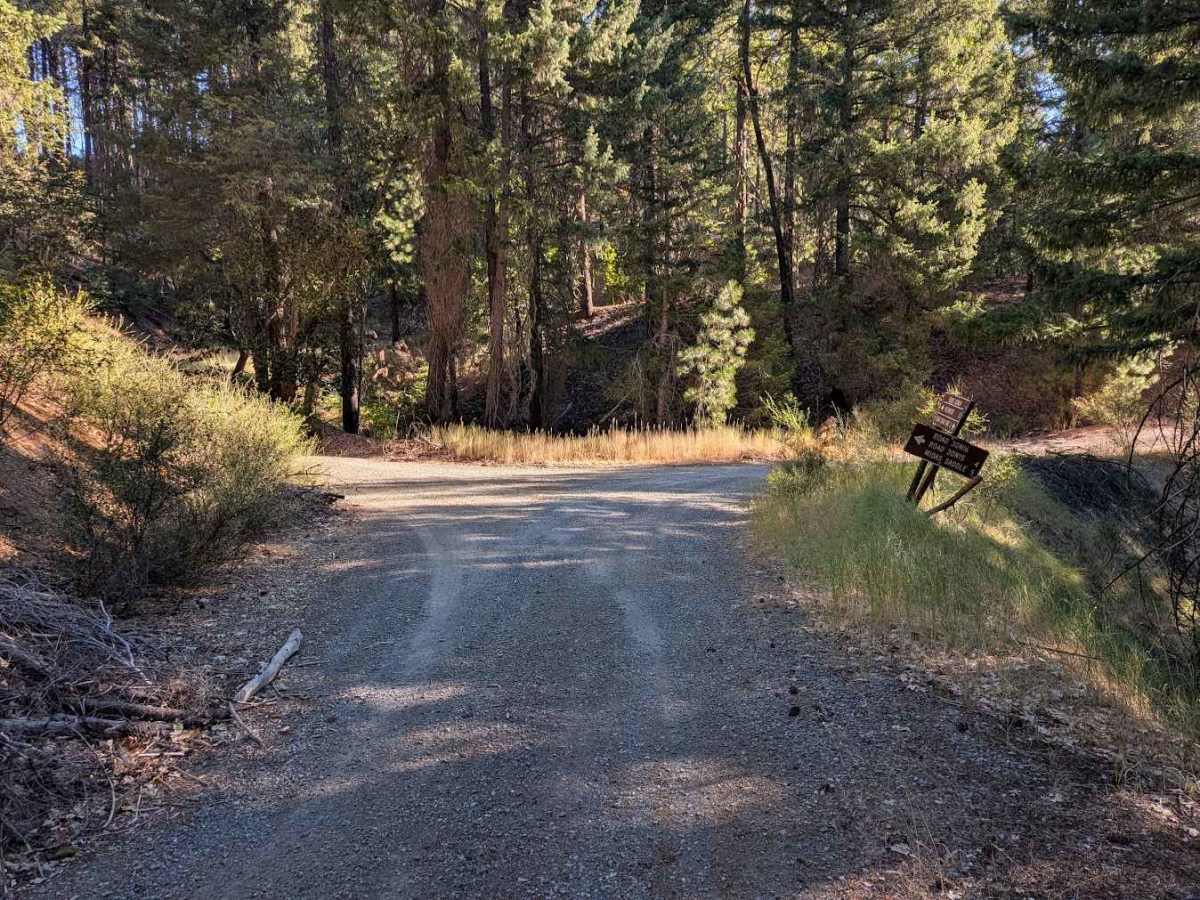  Midas Saddle Road - FS 30N16  photo 2