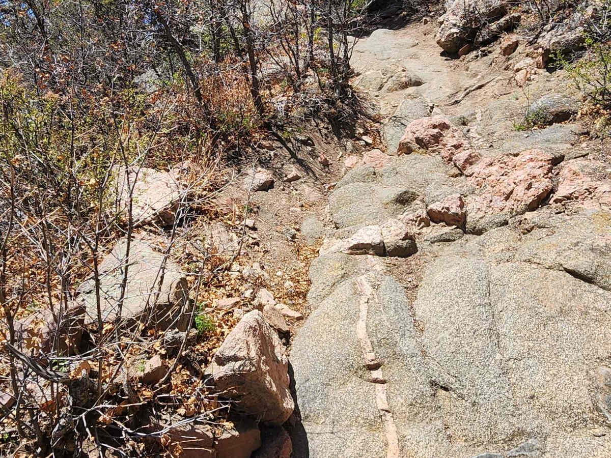 East Bear Trail photo 6
